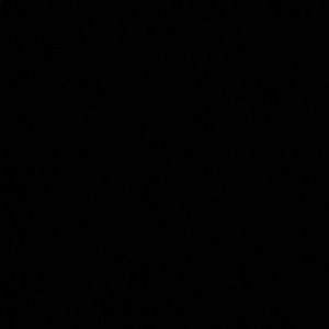 Meet your Posher, Lena